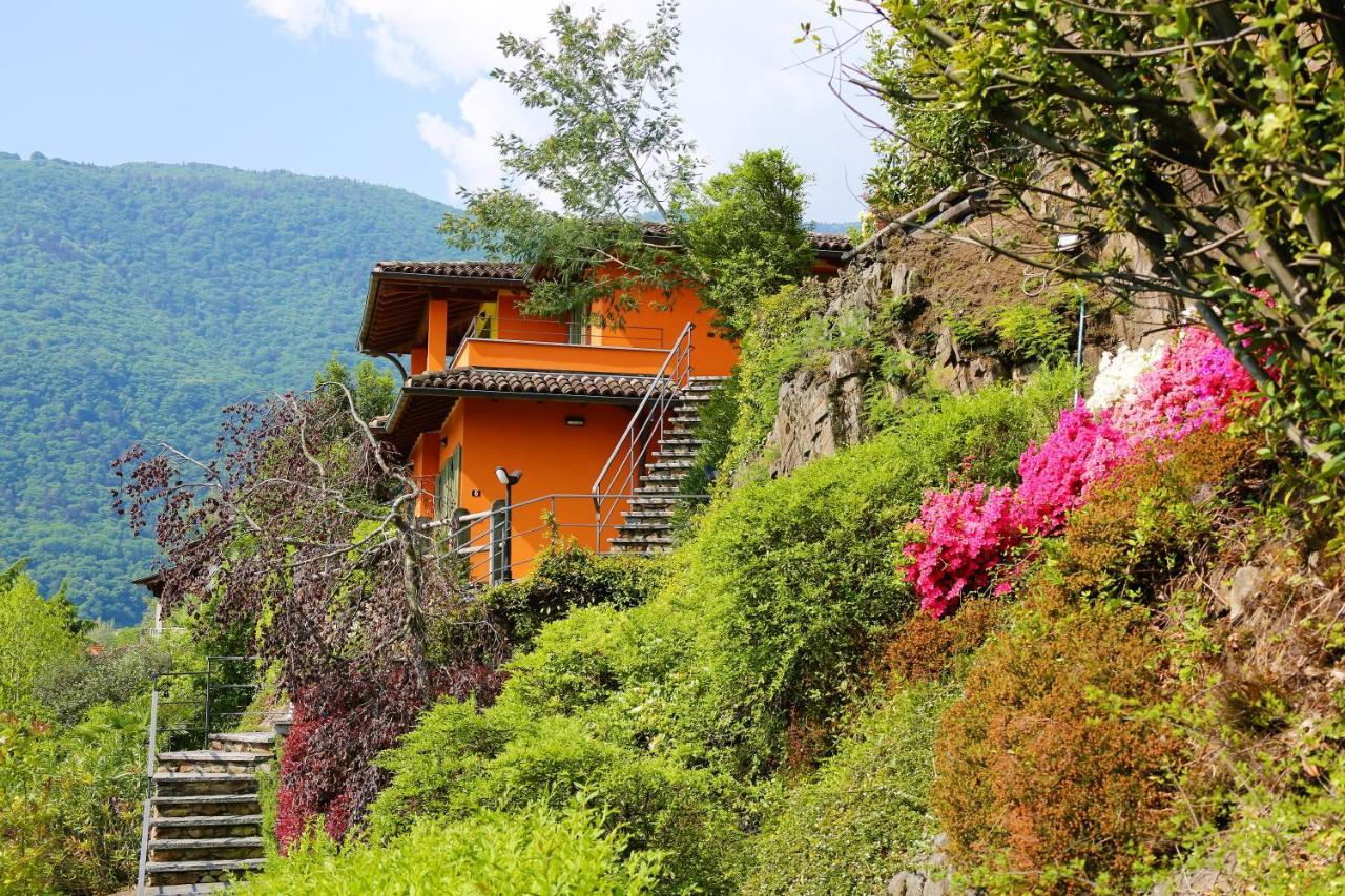 Appartamenti Ferrari Residence Cannobio Luaran gambar